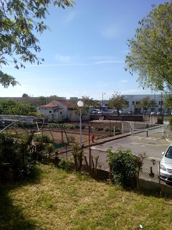 Grand Studio Proche Transport Montpellier Eksteriør billede