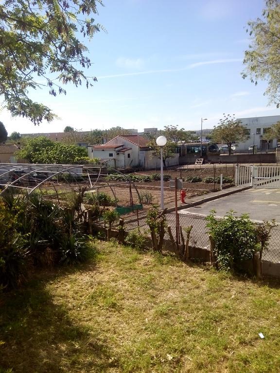 Grand Studio Proche Transport Montpellier Eksteriør billede